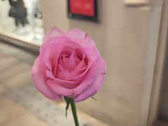 -DEMO黛慕蛋糕(中泰店)