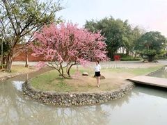 -海上田园
