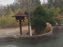 -汤泊温泉度假村