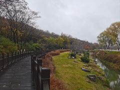 -羊山湖公园