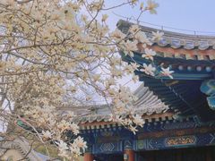 -颐和园