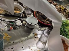 -大亮烤羊腿烤全羊(辣街店)