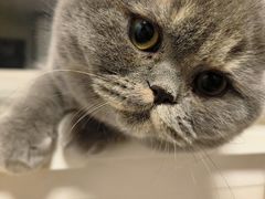 -北京雄鹿运动中心