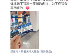 -阿五黄河大鲤鱼(英协路店)