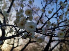 -太二酸菜鱼(武汉光谷保利店)
