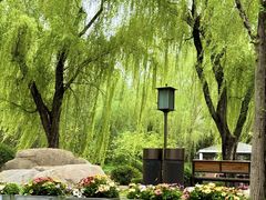 -唐城墙遗址公园