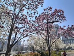 -南京眼步行桥