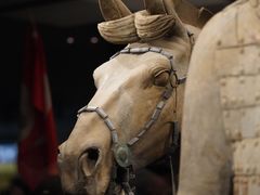 -秦始皇帝陵博物院(兵马俑)