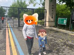-羊山湖公园