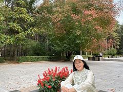-黑龙江省森林植物园