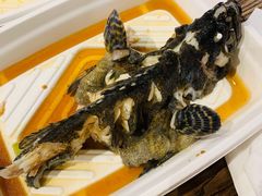 龙胆石斑-盒马鲜生(金桥国际广场店)