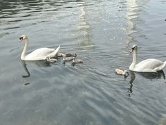 -河南省体育场馆中心游泳馆