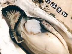 高压锅生蚝-前女友的烧烤店