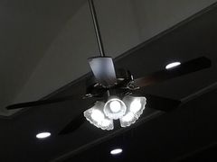 -田记餐馆(富国街店)