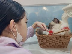 -共舞时光猫咖·狗咖(新街口店)