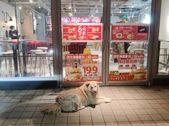-肯德基(燕岭店)