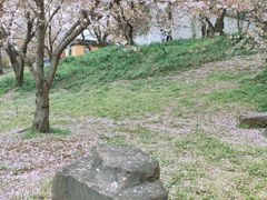-苏州上方山国家森林公园