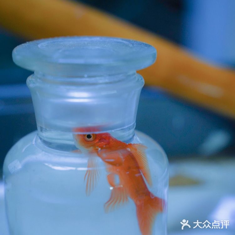 “想” 非著名艺术家的小型展览