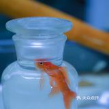 “想” 非著名艺术家的小型展览