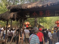 -微山湖红荷湿地景区