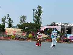 -荷兰花海