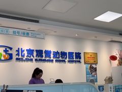 -北京观赏动物医院·24小时大型综合·猫专科·异宠专科