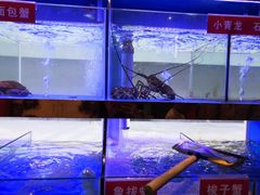 -小龍鳳·港式海鲜打边炉(沙湖路店)
