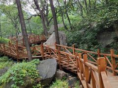 -大岭沟猕猴桃谷风景区