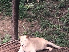 -石家庄市动物园