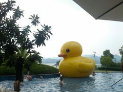 android_upload_pic-绿城千岛湖喜来登度假酒店