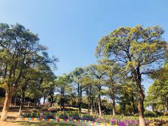 -松山湖梦幻百花洲