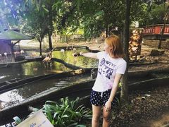 -清迈夜间动物园
