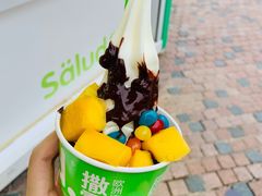 冻酸奶-Salud撒露欧洲冻酸奶(蓝色港湾店)