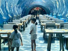 -涛·海底餐厅·美人鱼·自助餐·海底隧道(三亚海棠湾洲际度假酒店)