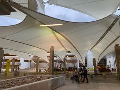 -达拉斯 沃斯堡国际机场