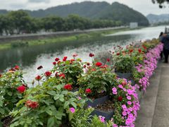 -蒋氏故居