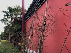-南海禅寺