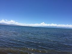 -仔耳朵冷锅鱼蛙芋儿鸡(莲花东路店)