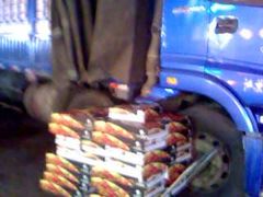 -布吉农产品批发市场