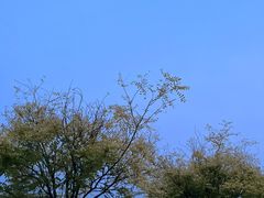 -马家湾湿地公园