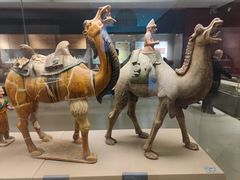 -西安大唐西市博物馆