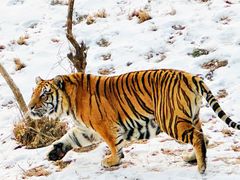 -济南野生动物世界