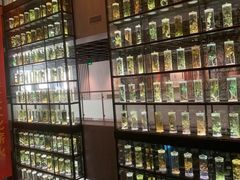-广东中医药博物馆