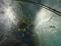 -福州罗源湾海洋世界旅游区