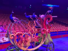 -广州长隆国际大马戏