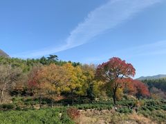 -塔川景区
