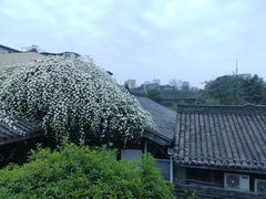 -见山书院