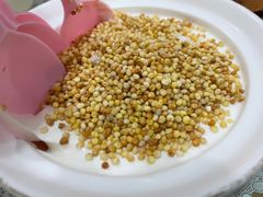 奶嚼口-蜗牛小馆醉乡民谣云南菜(惠新西里店)