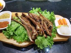生烤羊排-蒙料·手把肉(望京店)