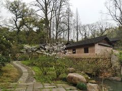 -杭州植物园